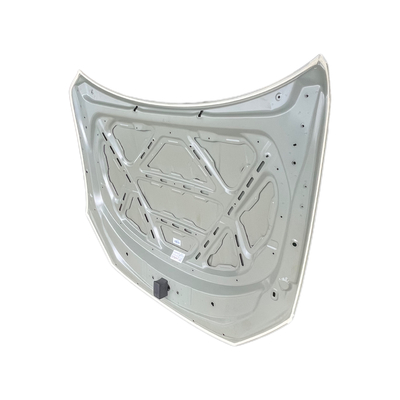 BYD Car Fitment Hood for Qin PRO/PLUS HAD-8402010/70 Honeycomb Style OEM Accessory