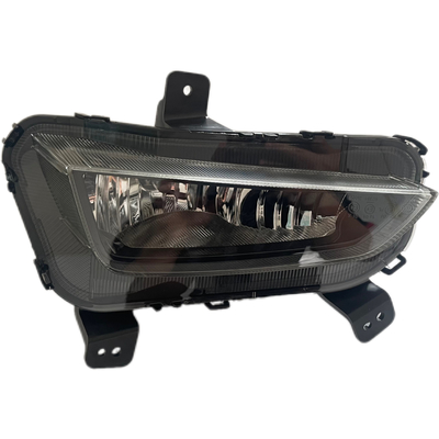 Enhance Your Gilly Bin Yue's Look with 72W Halogen Front Fog Lamp Assembly 7054015500